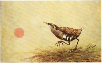 bird and sun Oil Paintings